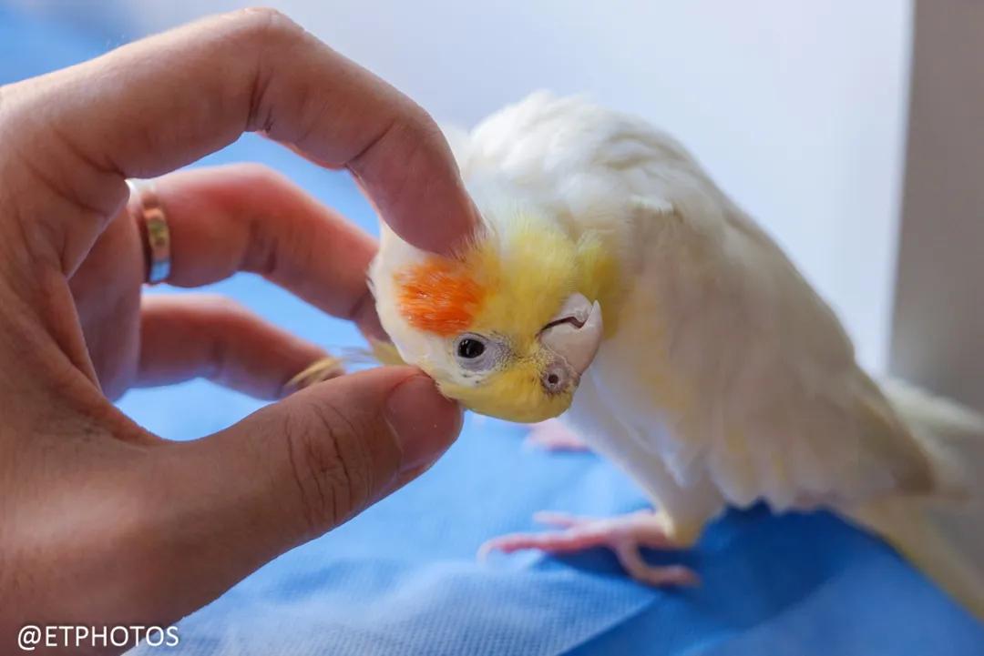 徕卡dlux7和松下lx100,松下lx100m2是什么相机