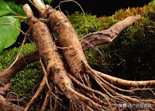 99%的长春人都没吃过的美食,99%的人没吃过的美味