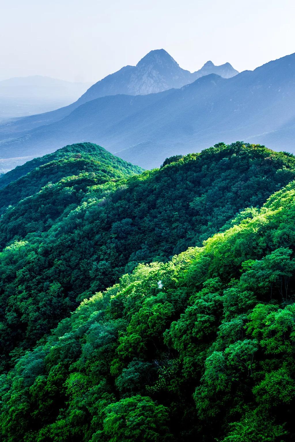 什么是郑州绿城,什么是郑州特产