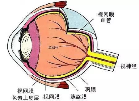 打球撞到眼睛有瘀血怎么快速消,打球被撞伤眼睛视力下降