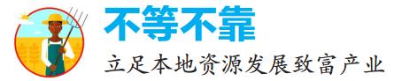 脱贫攻坚及乡村振兴工作,决战决胜脱贫攻坚就业扶贫再发力