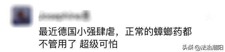 灭蟑螂最好的方法一招解决,蟑螂怎么灭杀最好方法