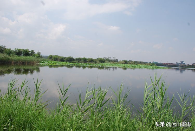 昆明嘉丽泽旅游景区,昆明嘉丽泽湿地露营