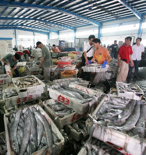 我,出海打鱼十五年,月薪1.2万,最后差点命丧大海