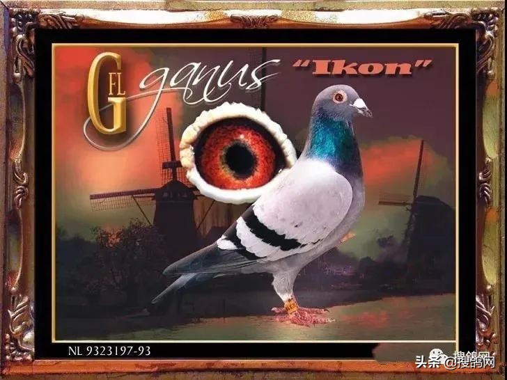 传奇后代,甘纳斯金马斯顿图片