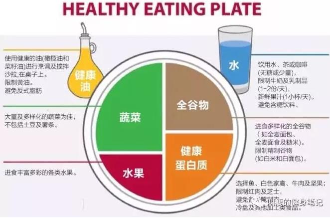 减肥一年不吃饭,为什么减肥不吃饭很难受