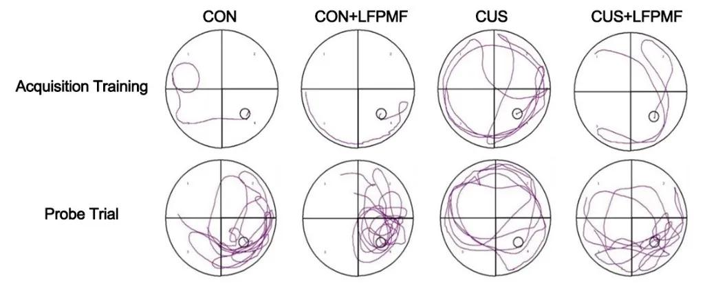 我国近3亿人抑郁症,中国近3亿抑郁症患者