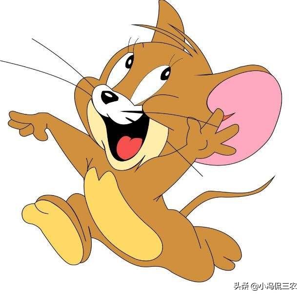 农村很少见老鼠,现在农村为什么见不到老鼠