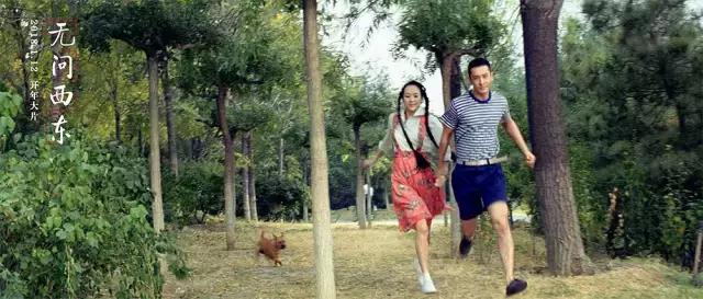 2018十大票房最高的电影,2019年票房排行榜前十名