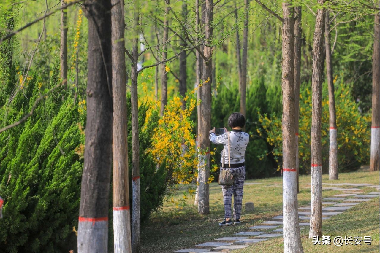 科技加持,城运公园大升级!你还不来打卡吗?