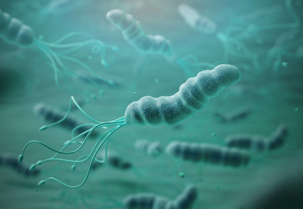 幽门螺杆菌阳性900多严重吗,幽门螺旋杆菌900能引起胃癌吗