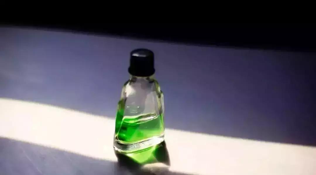 盆下有很多小虫子怎么办,盆里小飞虫用什么药