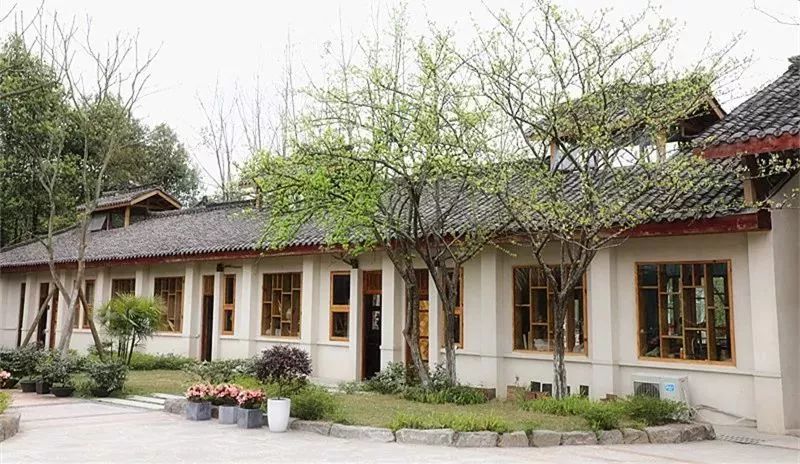 九莲小学办学特色,新津九莲小学