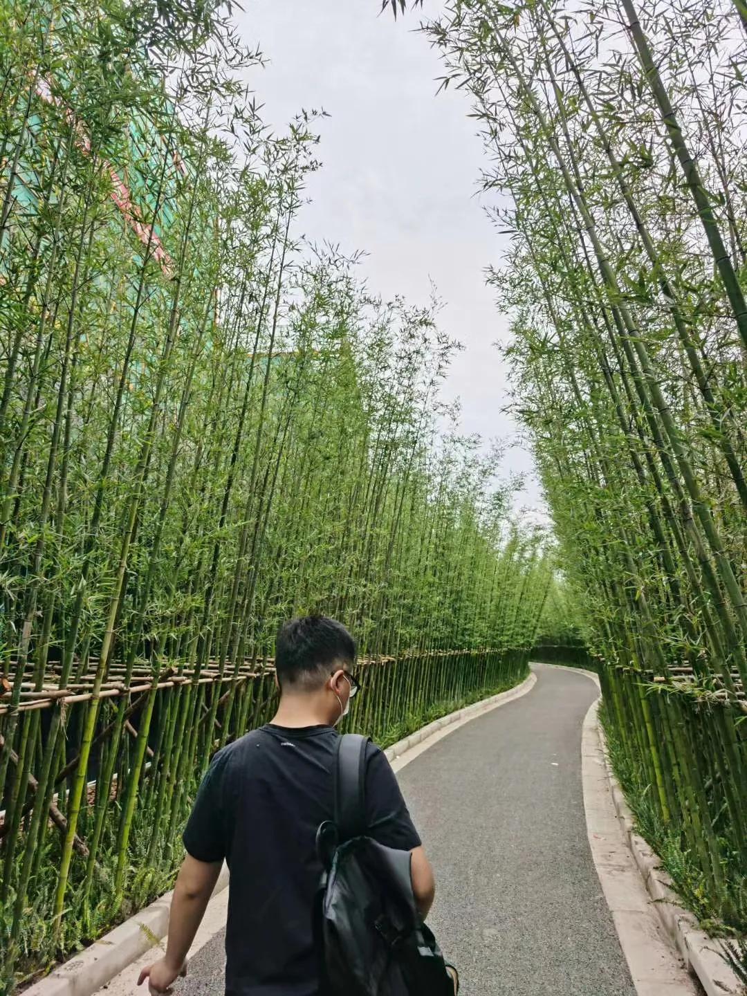 仁恒卖得不错的项目,仁恒是哪个开发商