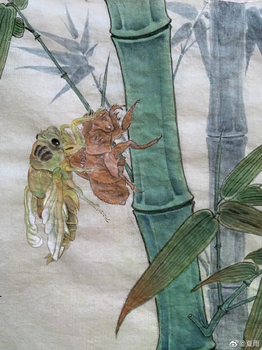 影帝夏雨书法真迹,演员夏雨晒书法作品