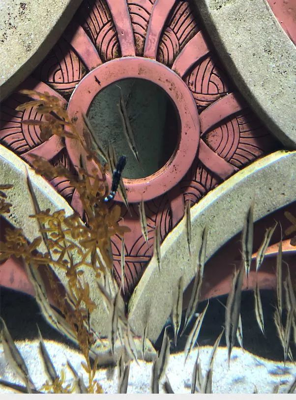 5天亚特兰蒂斯亲子游,带孩子亚特兰蒂斯游玩