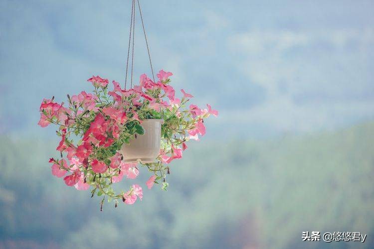 深爱过还想复合吗,深爱过分手的表现