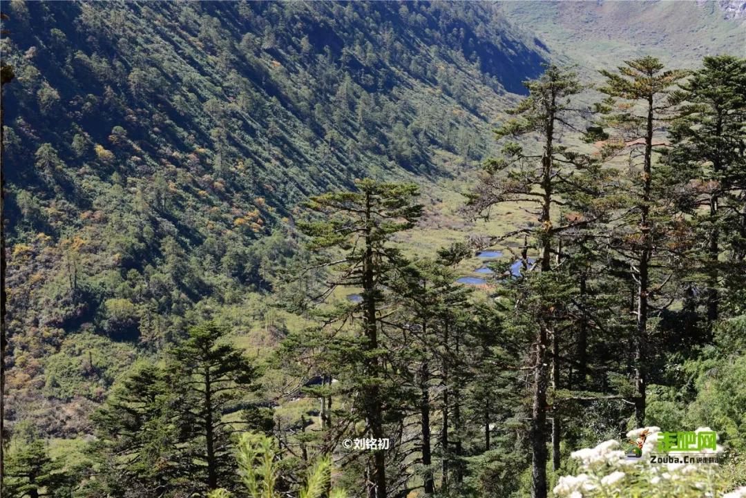 云南自驾5条最佳线路图,云南适合开车自驾的公路