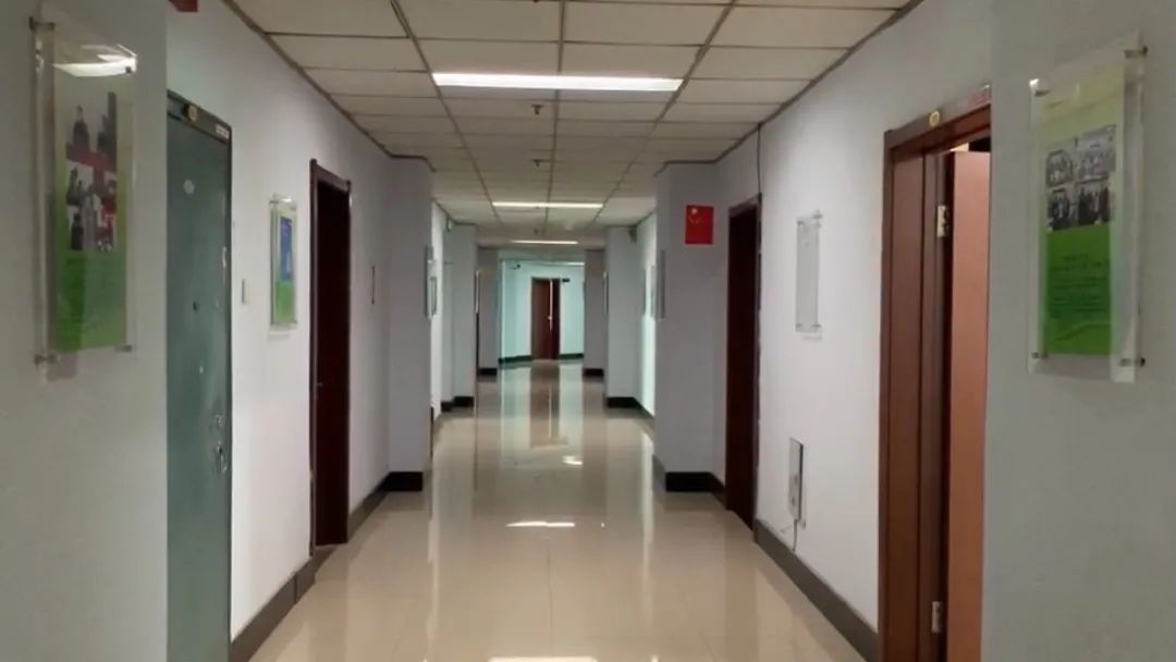 一年发文1.5万篇，收费不贵好通过：“熟蛋孵小鸡”牵出“论文工厂”产业链