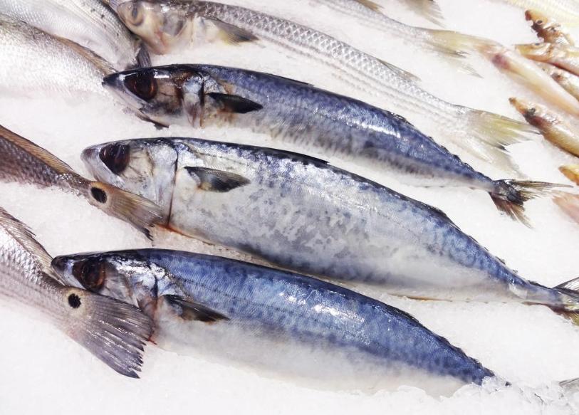 冰冻海鲜和新鲜海鲜的区别,买海鲜活的好还是干的好