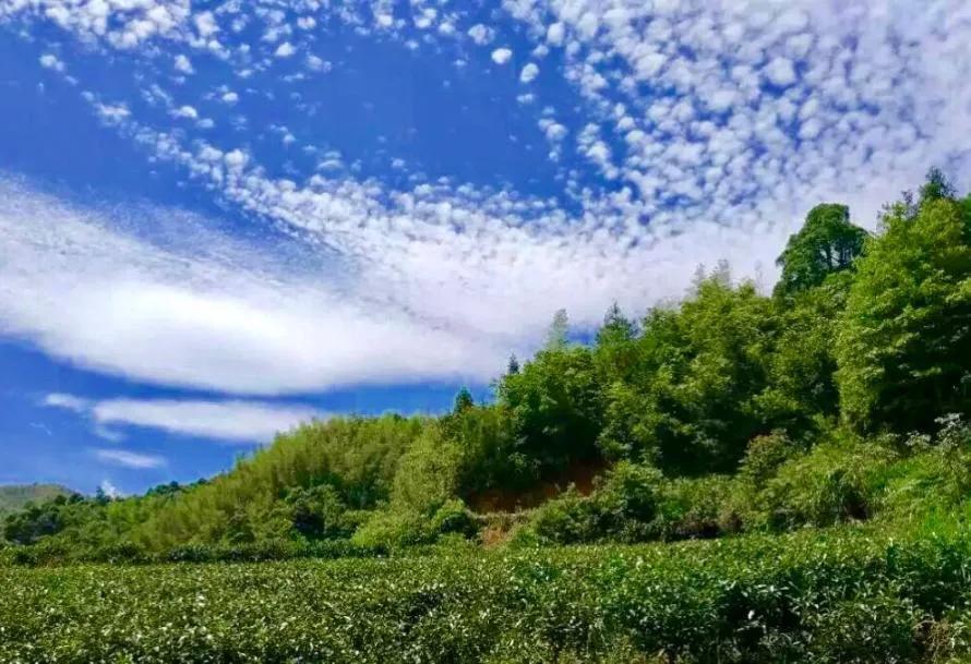 福建邵武旅游景点,