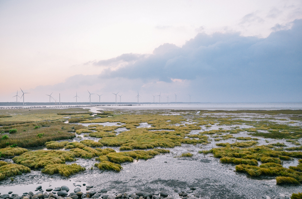 地方叫高美湿地,绝美滩涂,吸引了无数人来打卡日落美景