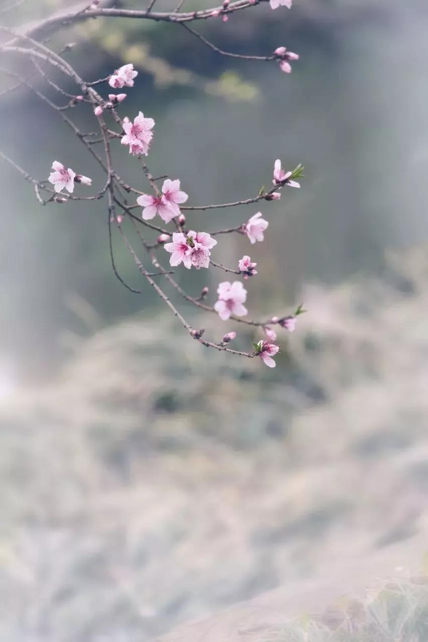 给我解释一下什么叫七情六欲,七情六欲最诗意的回答