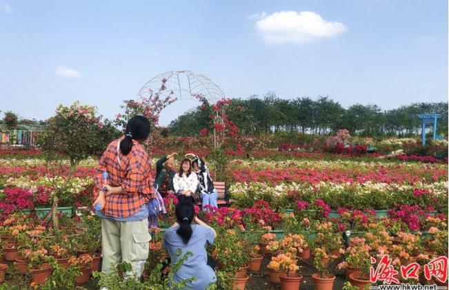 遨游“云”赏春央视再度聚焦海口三角梅共享农庄