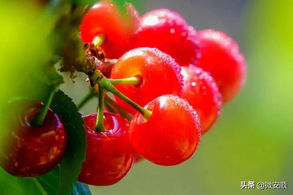 你好！我叫安顺，这是我2021最新简历