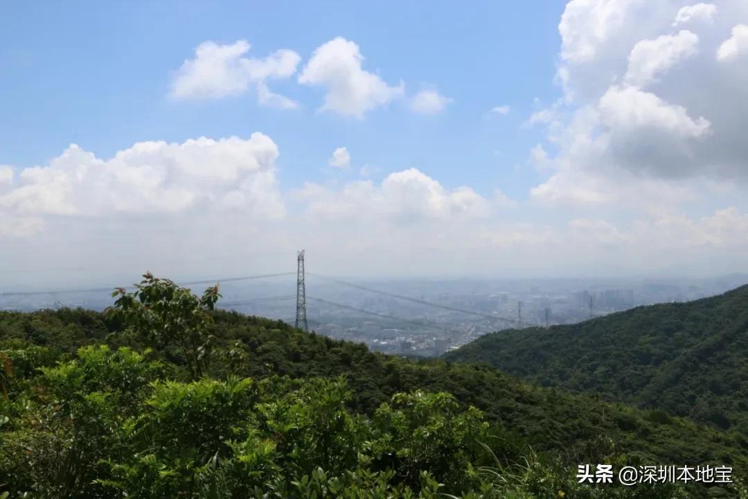 暂停办理居住证公告,办理居住证可以取消吗