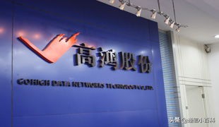 中国信科集团烽火通信,中国信科集团在央企排名