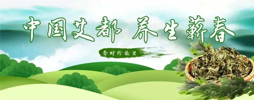 蕲春艾草,湖北黄冈蕲春县艾草