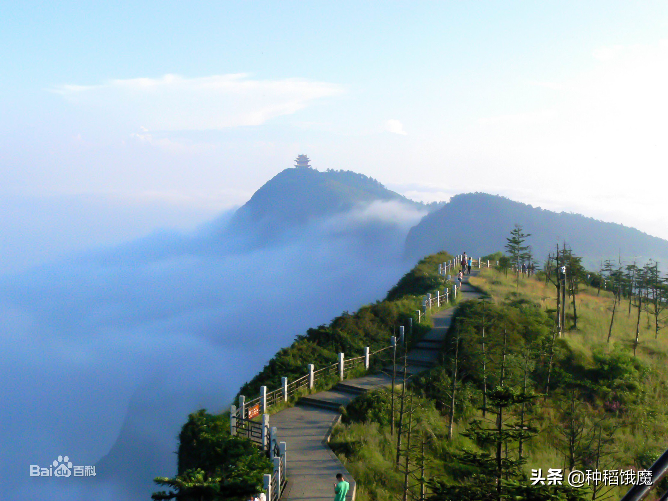 海棠香国景区,海棠香国到底在哪