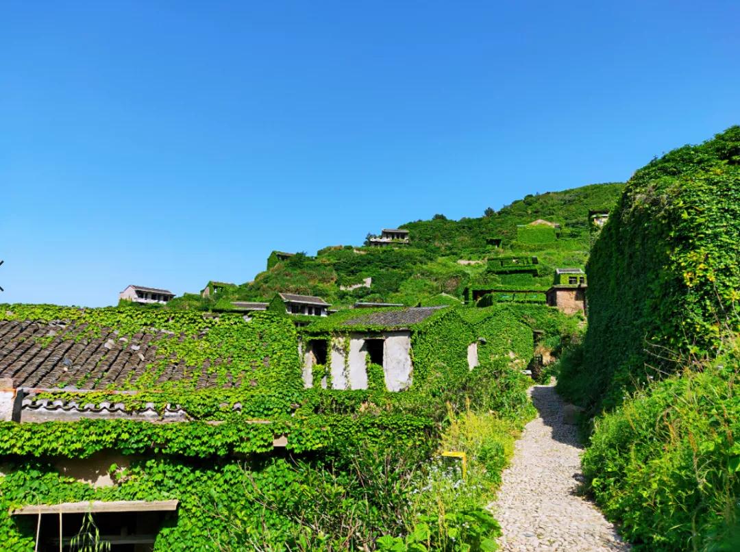 列岛之枸杞岛旅游攻略,嵊山岛枸杞岛旅游攻略