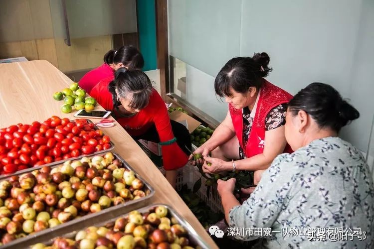 锦田湾我是护旗手,我是护旗手主题活动