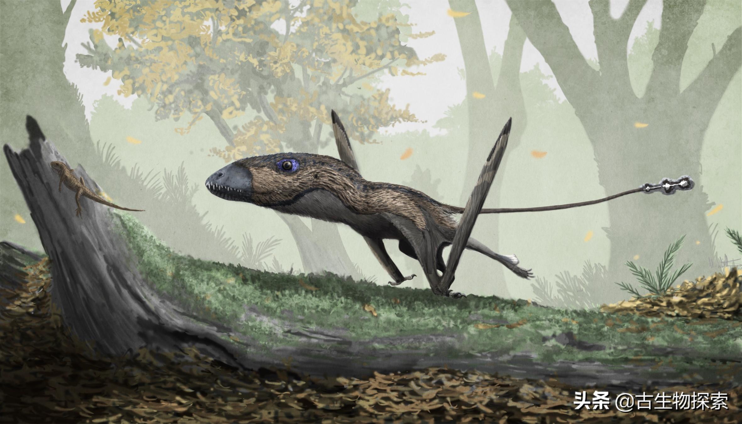 侏罗纪世界翼龙品种,侏罗纪翼龙是肉食还是草食