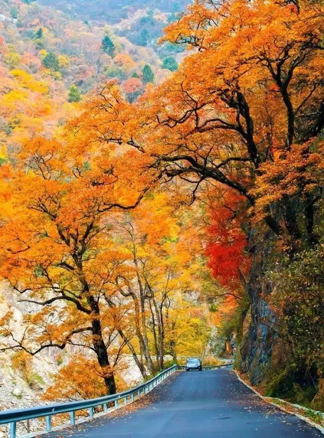 神农架旅游攻略最新,神农架秋天旅游攻略