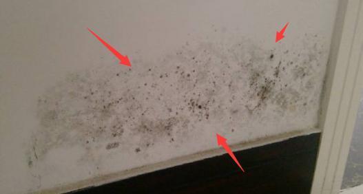 在黄岛装修,黄岛房子装修前需要什么