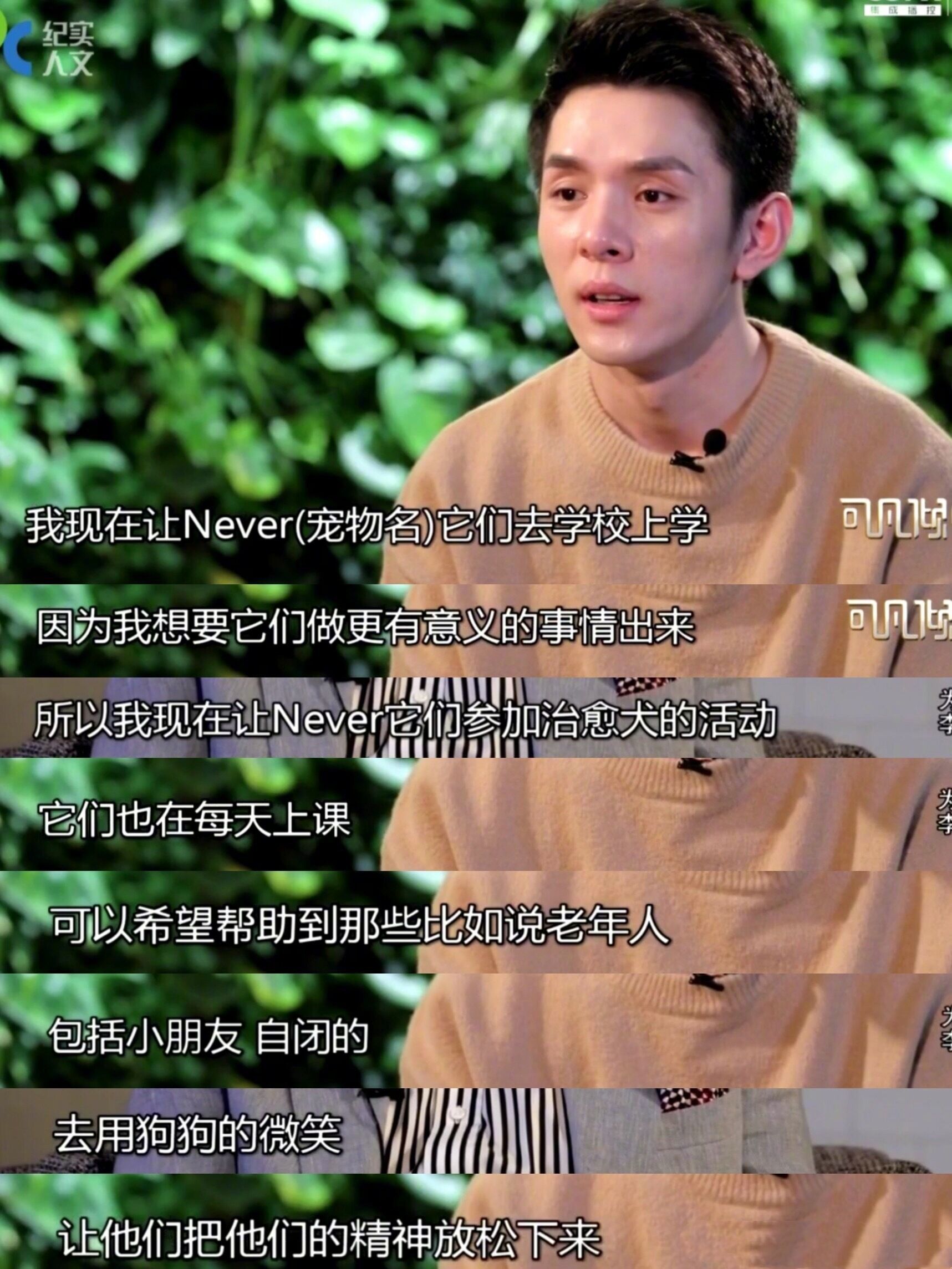 治疗犬到底是怎样的群体？我们的狗狗都能成为治疗犬吗?