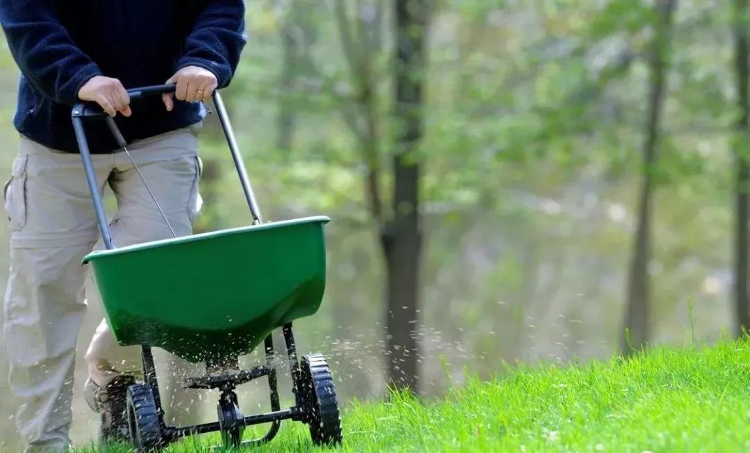 草坪一年四季如何养护,草坪休眠期管理方案