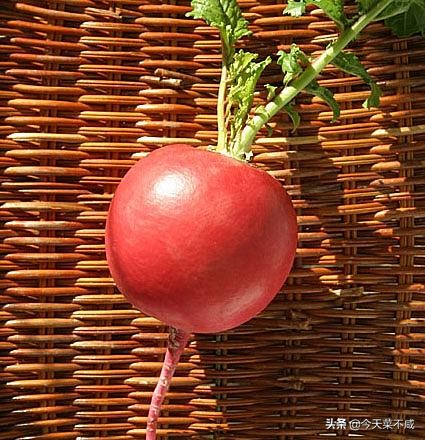 大虾燕窝,燕窝炖虾子