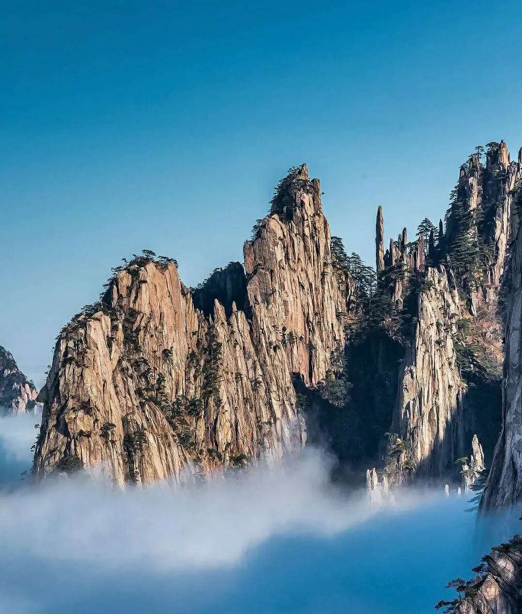 大文豪胡适简介,青年时期的胡适有趣的事