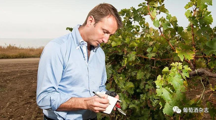 醇味厨房Vol.23|夜归的你，煮这道快手菜暖暖肠胃吧