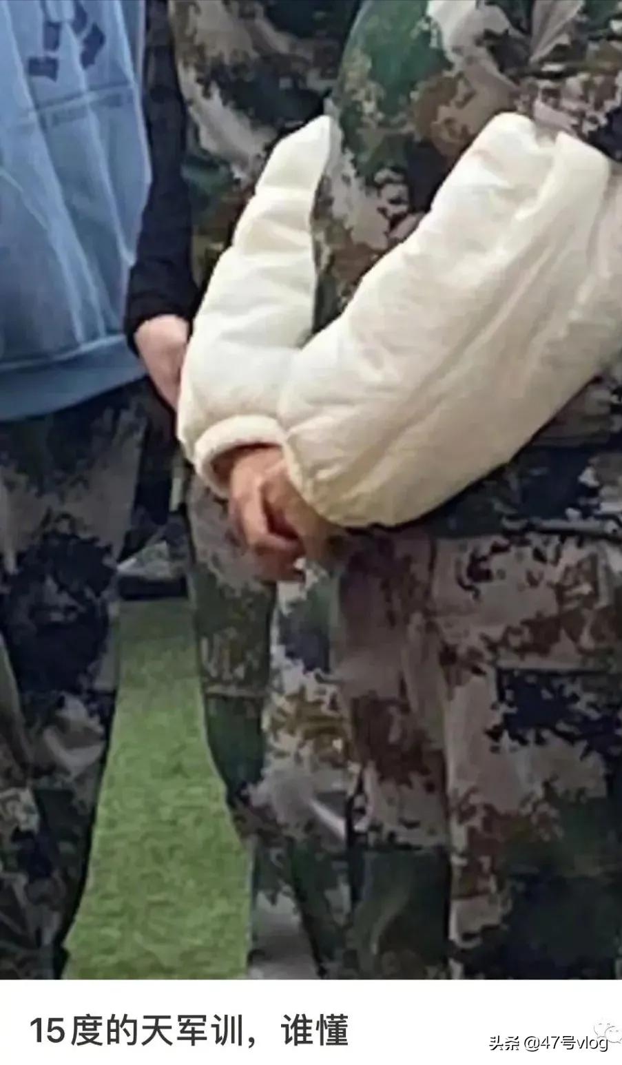 家里两只猫咪可以一起养吗,家里有宝宝适合养什么猫咪