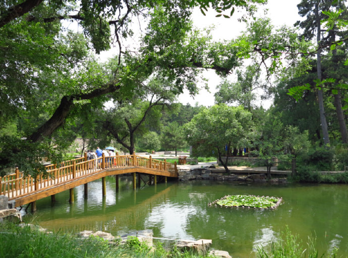 读汤姆索亚历险记会想到哪本书,读汤姆索亚历险记写读书笔记