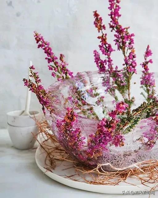 冻冰花美篇,冻冰花的美篇