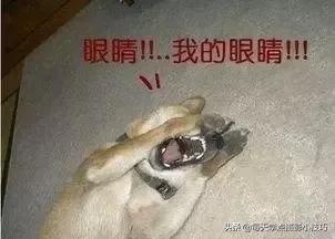 摄影可以注意什么事项和技巧,摄影小技巧人像