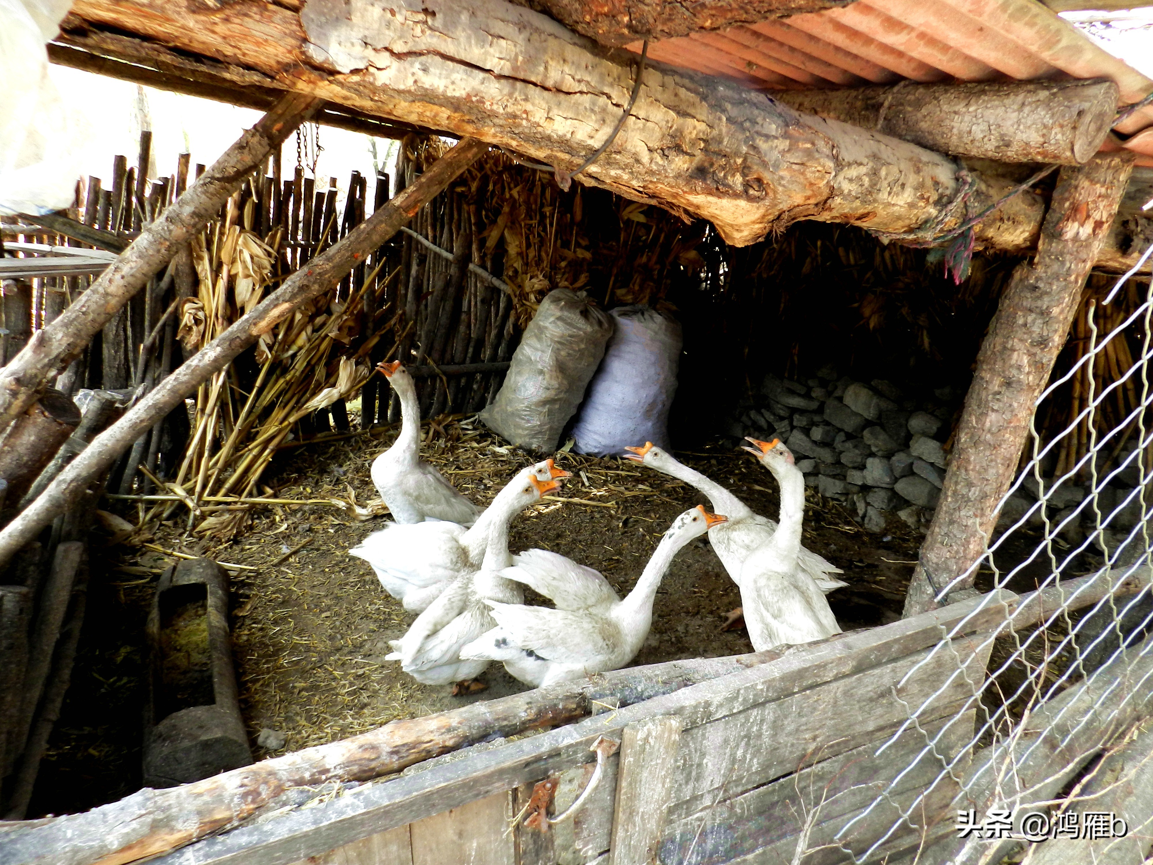 本溪小众秘境,本溪神秘山村