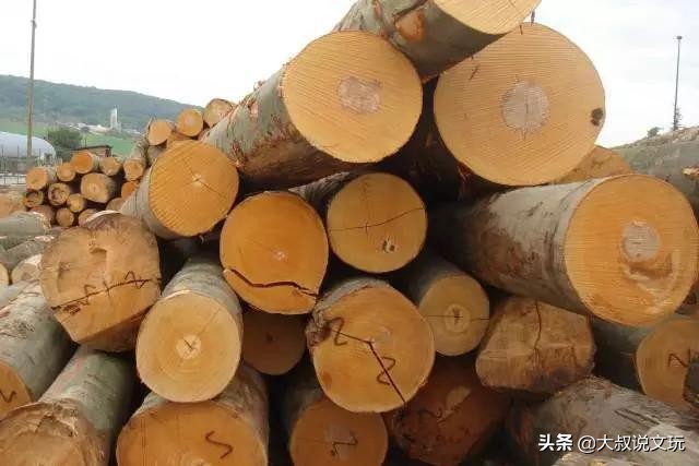 玩木头书籍,玩木头的