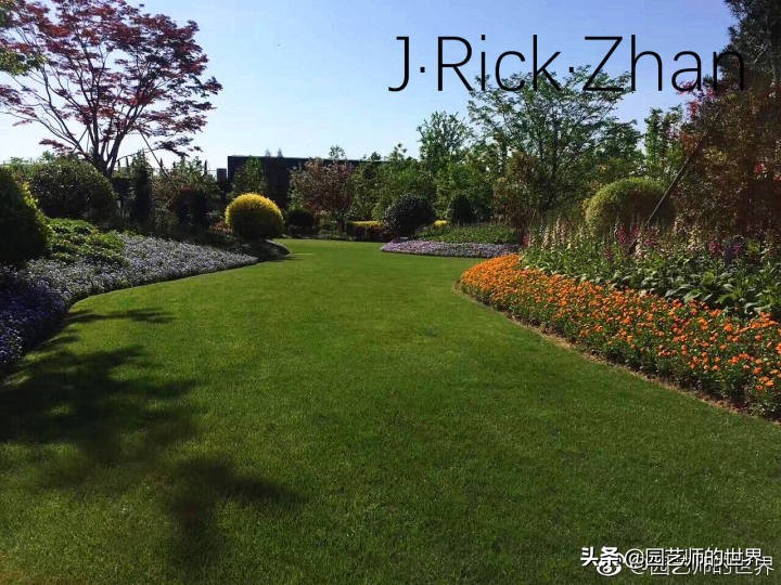 怎么种植草坪不长杂草,如何养好草坪